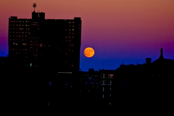 Click here to view Super Moon Over Indianapolis by Jack Wickes 