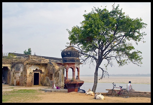Click here to view Lazy Day on the Ganges River by Jack Wickes 