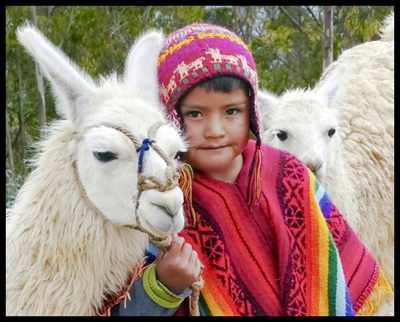 Click here to view A Boy and his Llamas by Jack Wickes 