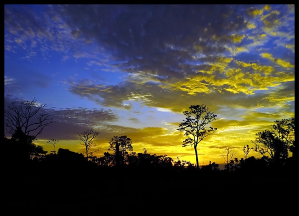 Click here to view Amazon Sunset by Jack Wickes 