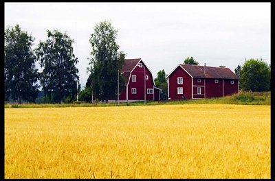 Click here to view Sweden Rural by Jack Wickes 