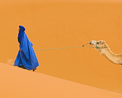 Click here to view Sahara Blue by Jack Wickes 