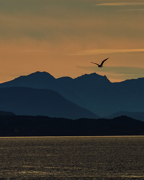 Click here to view blue mountains by Jack Wickes 