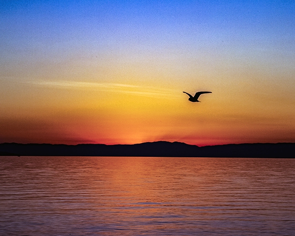 Click here to view s--Swiss Sunset by Jack Wickes 