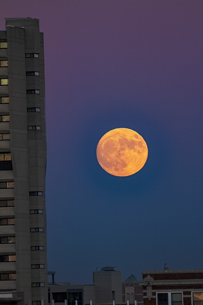 Click here to view  Moon Over Indianapolis by Jack Wickes 