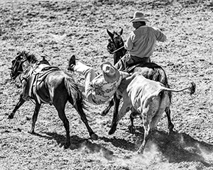 Click here to view A Cowboy's Life by Jack Wickes 