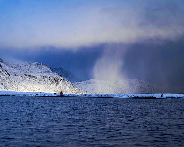Click here to view Snowfall by Jack Wickes 