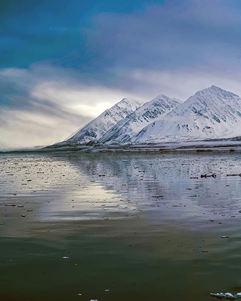 Click here to view Cold Arctic Morning by Jack Wickes 
