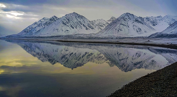 Click here to view Reflected by Jack Wickes 